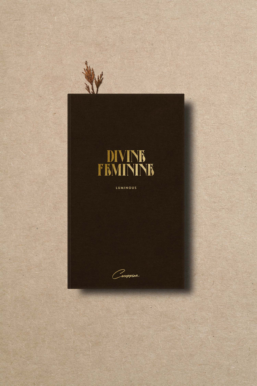 Divine Feminine Tarot Book