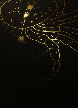 Cancer Constellation gold foil art print on black paper by Cocorrina & design studio and shop