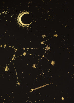 Canis Major constellation gold foil print by Cocorrina & Co studio