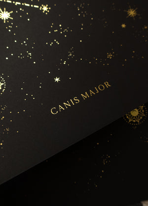 Canis Major constellation gold foil print by Cocorrina & Co studio