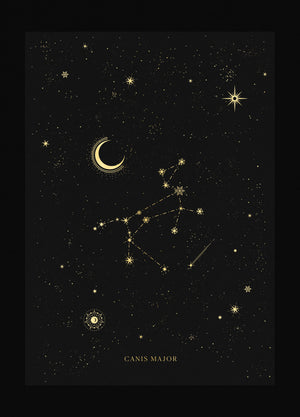 Canis Major constellation gold foil print by Cocorrina & Co studio