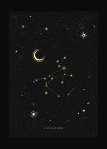 Canis Major constellation gold foil print by Cocorrina & Co studio