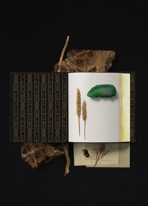 Grimoire Noble Edition, leather book with and gold foil for witches and magic, by Cocorrina & Co