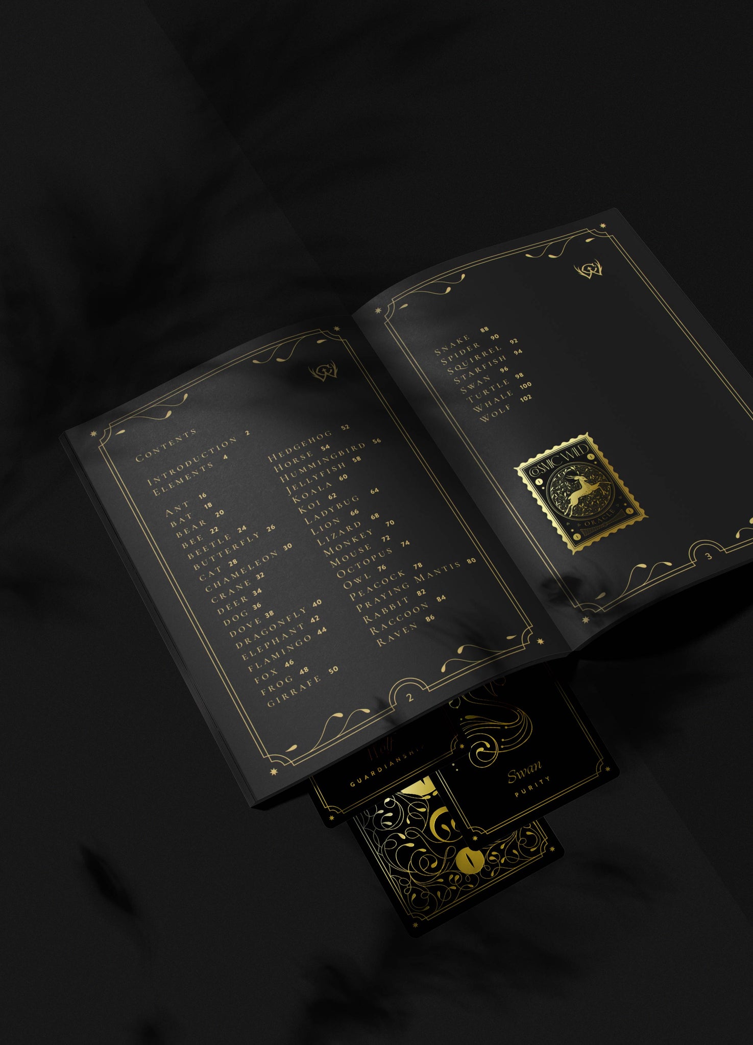 Cosmic Wild Oracle deck, animal tarot by Cocorrina & Co in black and gold