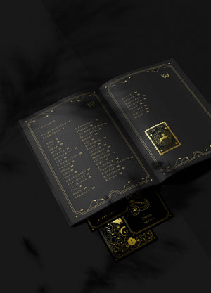 Cosmic Wild Oracle deck, animal tarot by Cocorrina & Co in black and gold