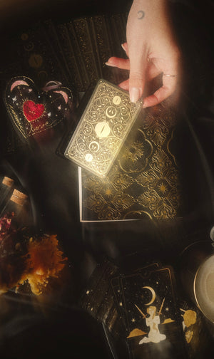 Cosmic Wild Oracle deck, animal tarot by Cocorrina & Co in black and gold