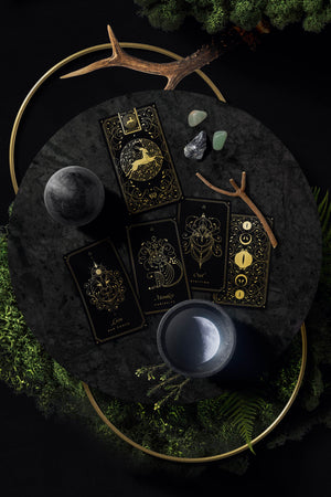 Cosmic Wild Oracle deck, animal tarot by Cocorrina & Co in black and gold