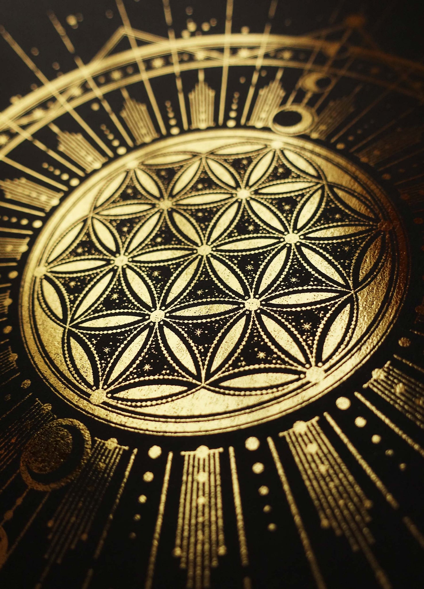 Flower of Life, sacred geometry art print in gold foil and black paper with stars and moon by Cocorrina