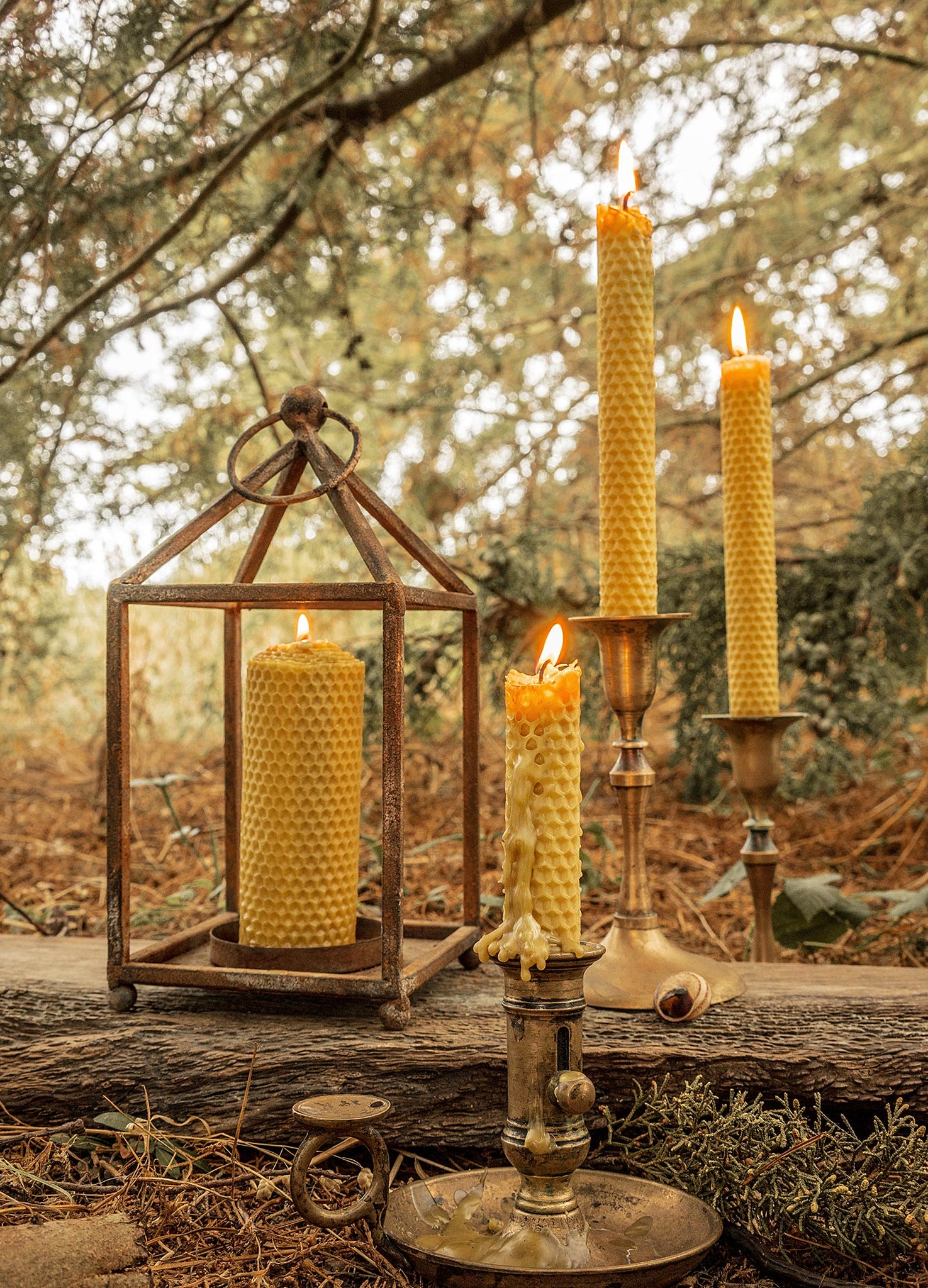 Golden Pure Greek Beeswax Candles, Tapper and Pillar by Cocorrina & Co