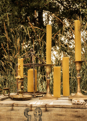 Golden Pure Greek Beeswax Candles, Tapper and Pillar by Cocorrina & Co