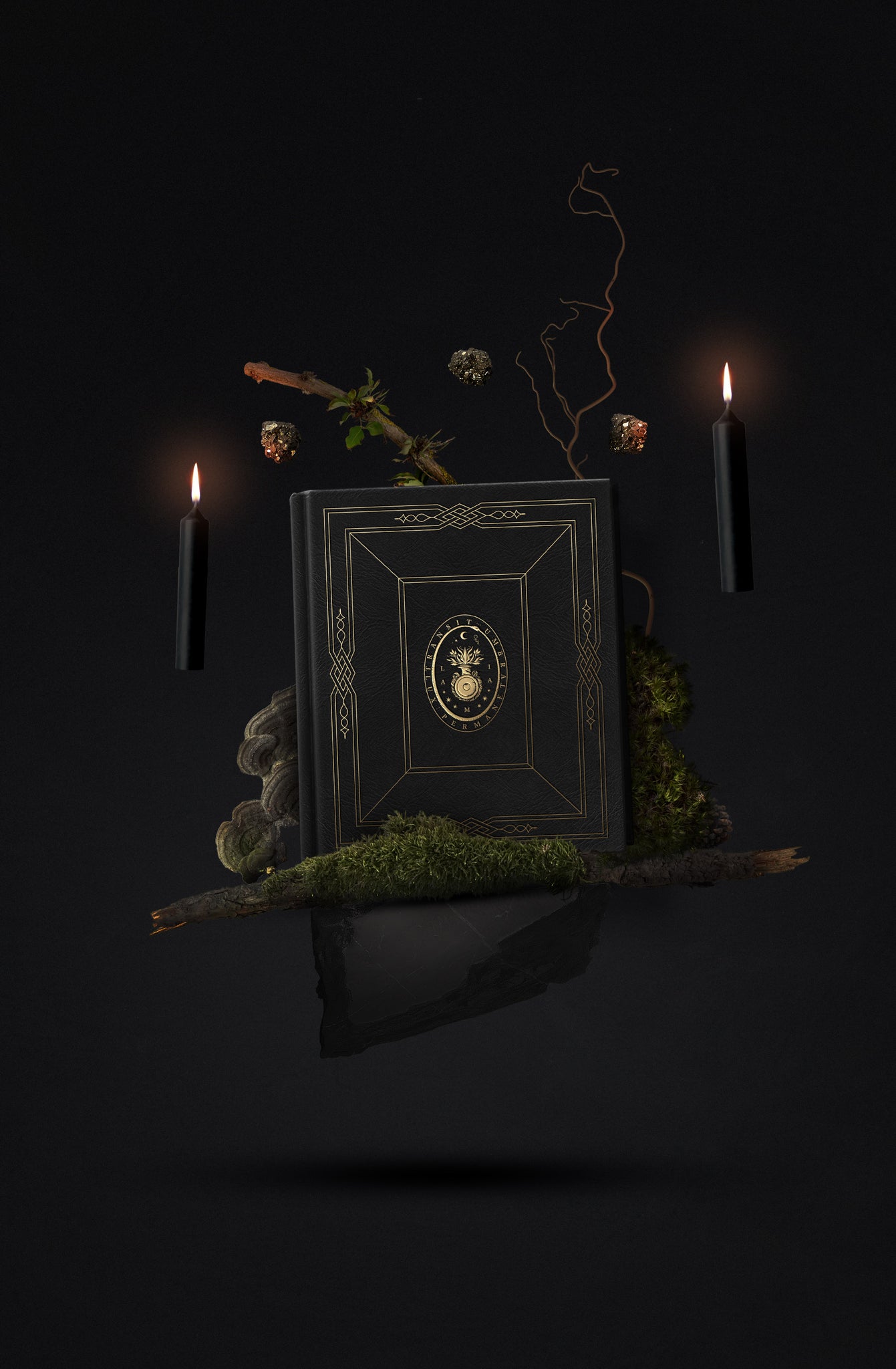 Grimoire Noble Edition, leather book with and gold foil for witches and magic, by Cocorrina & Co