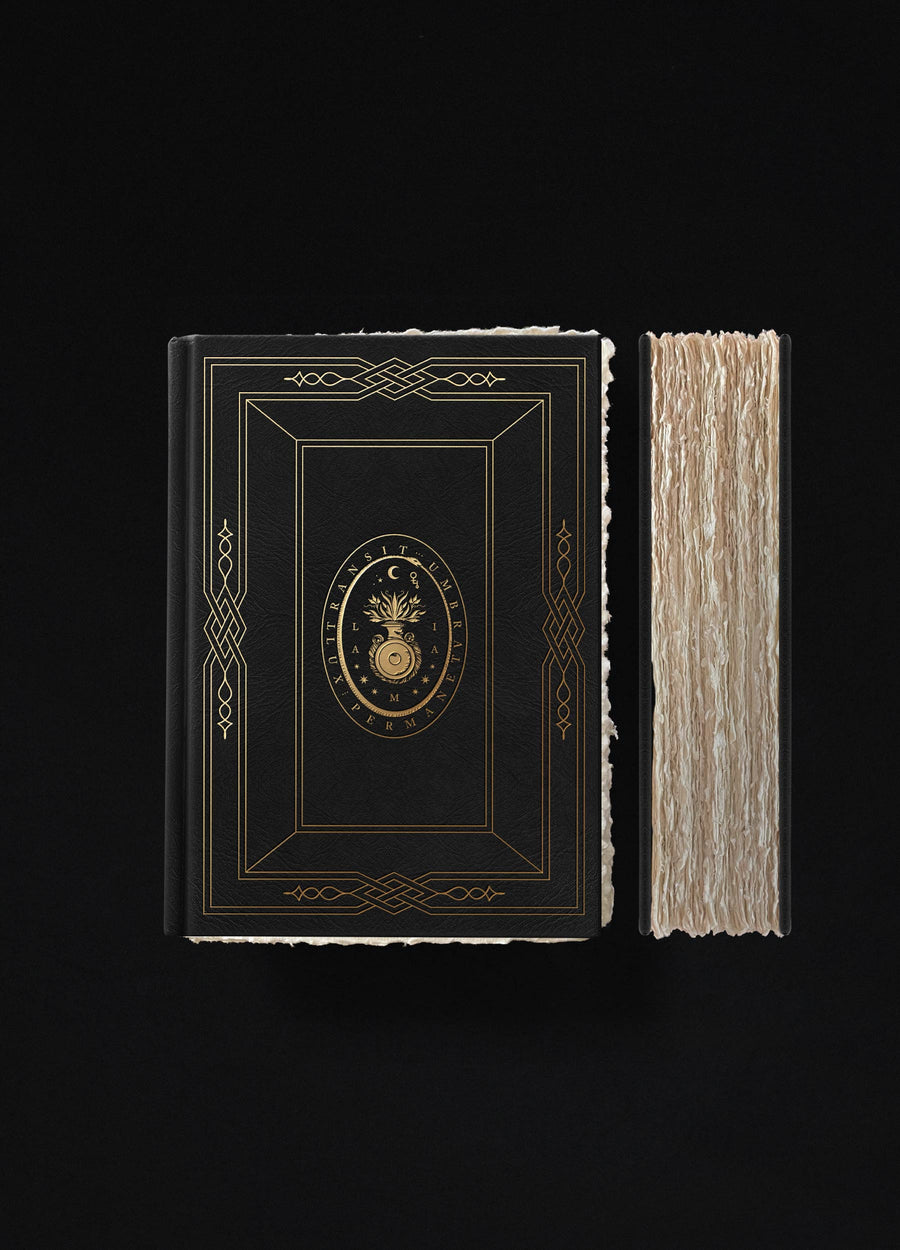 Grimoire Regal Edition, leather book with handmade paper and gold foil  for witches and magic, by Cocorrina & Co