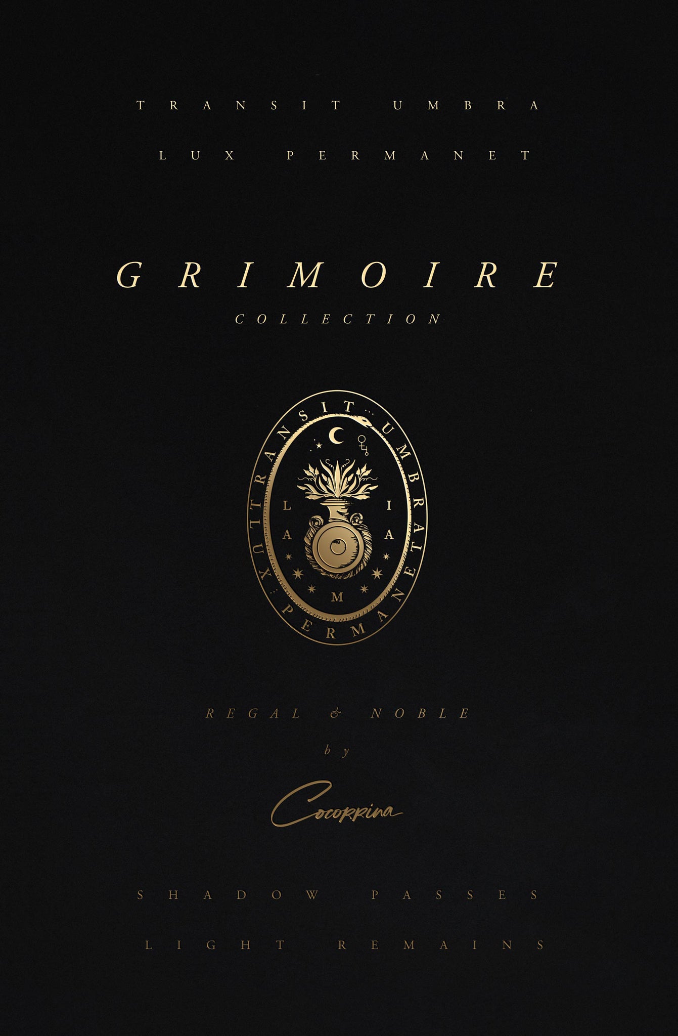 Grimoire Noble Edition, leather book with and gold foil for witches and magic, by Cocorrina & Co