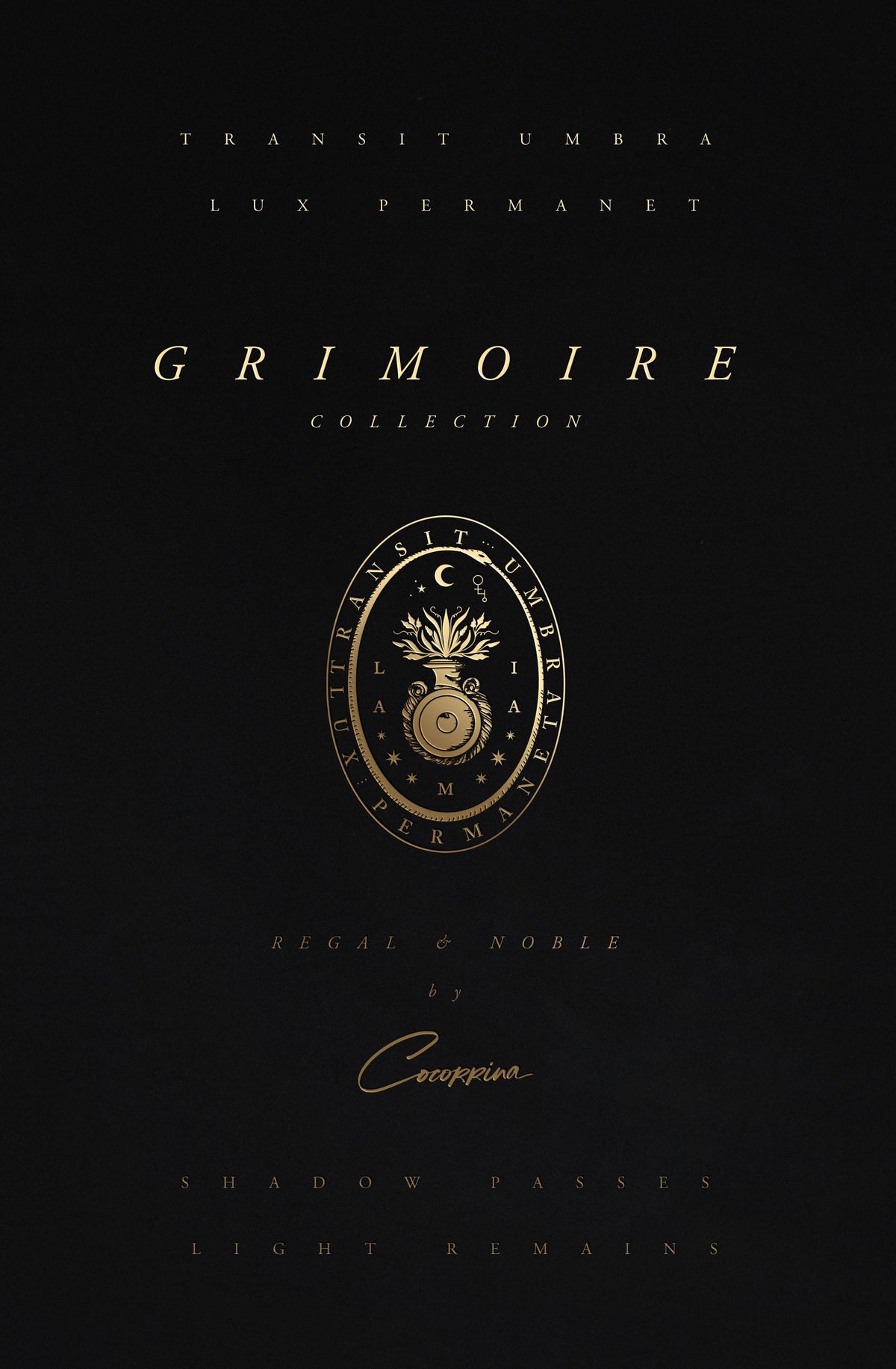 Grimoire Regal Edition, leather book with handmade paper and gold foil  for witches and magic, by Cocorrina & Co