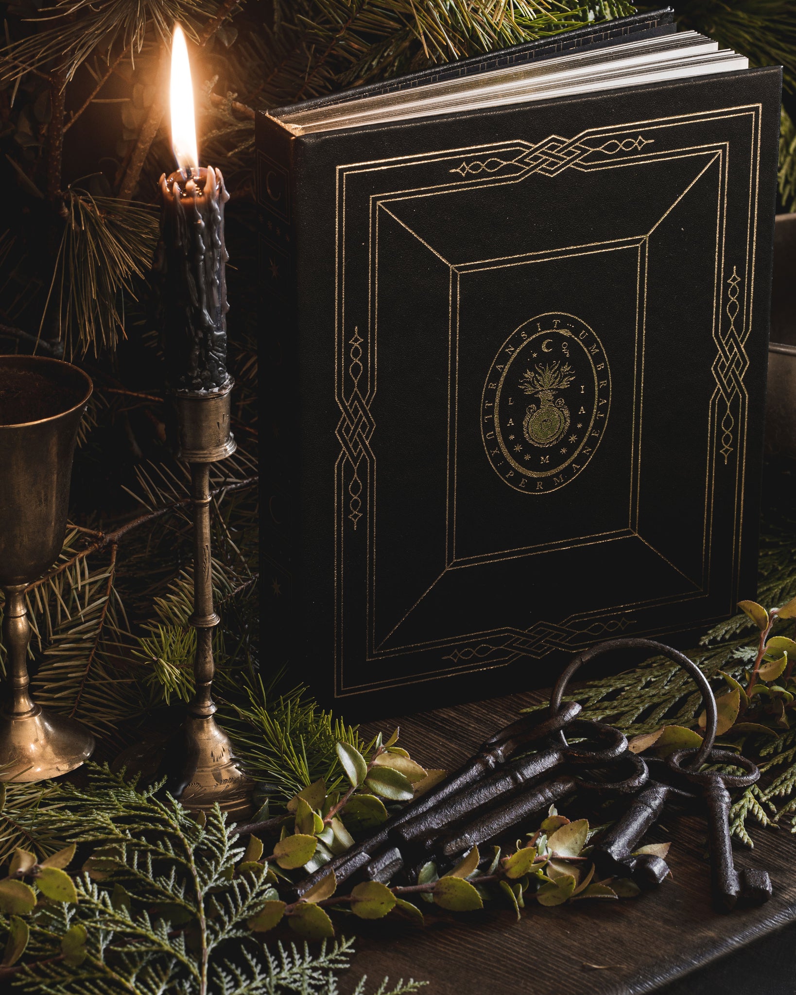 Grimoire Noble Edition, leather book with and gold foil for witches and magic, by Cocorrina & Co