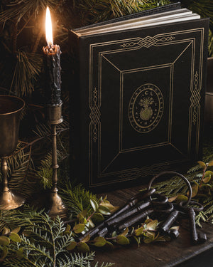 Grimoire Noble Edition, leather book with and gold foil for witches and magic, by Cocorrina & Co