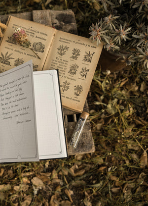 The Herbology Journal in black and gold foil. A Botanical grimoire for witches by Cocorrina & Co Shop captured by Julia Brenner