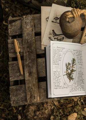 The Herbology Journal in black and gold foil. A Botanical grimoire for witches by Cocorrina & Co Shop captured by Julia Brenner