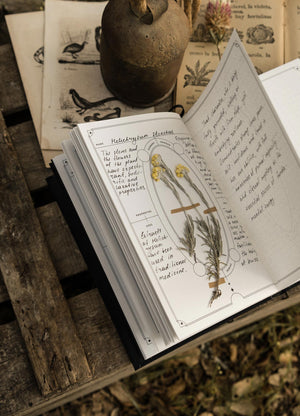 The Herbology Journal in black and gold foil. A Botanical grimoire for witches by Cocorrina & Co Shop captured by Julia Brenner