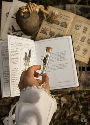 The Herbology Journal in black and gold foil. A Botanical grimoire for witches by Cocorrina & Co Shop captured by Julia Brenner