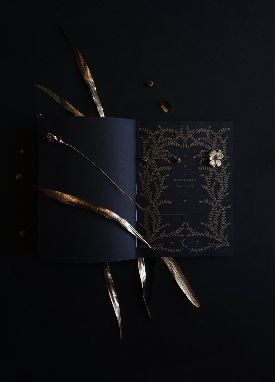 The Herbology Journal in black and gold foil. A Botanical grimoire for witches by Cocorrina & Co Shop