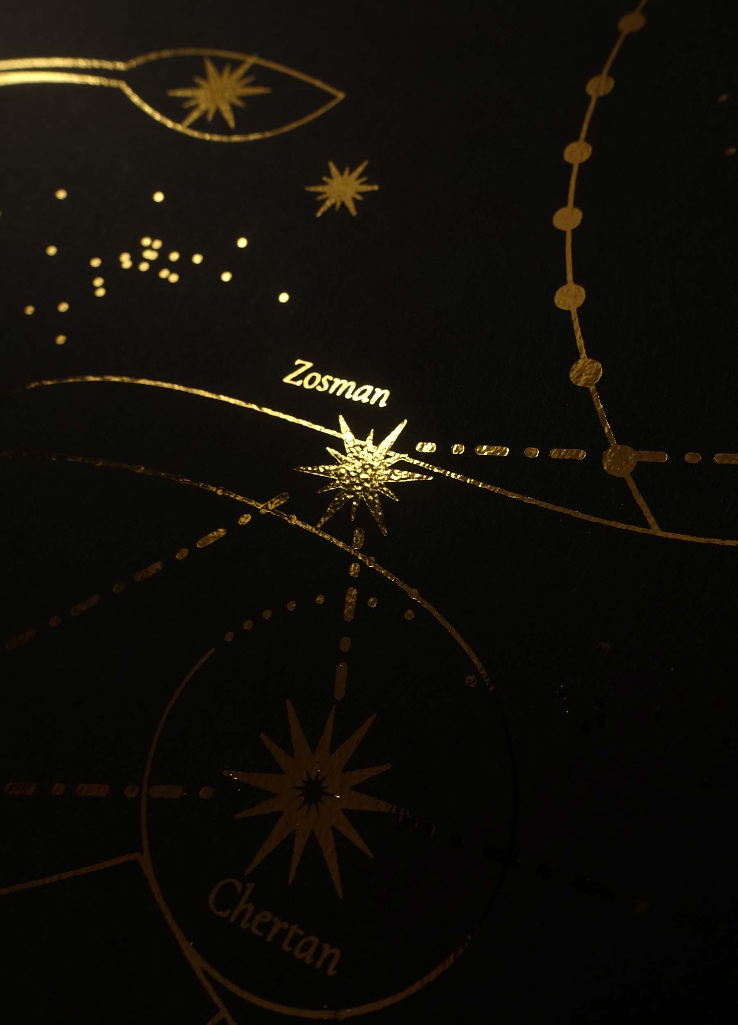 Leo Constellation gold foil art print on black paper by Cocorrina & Co Studio and Shop