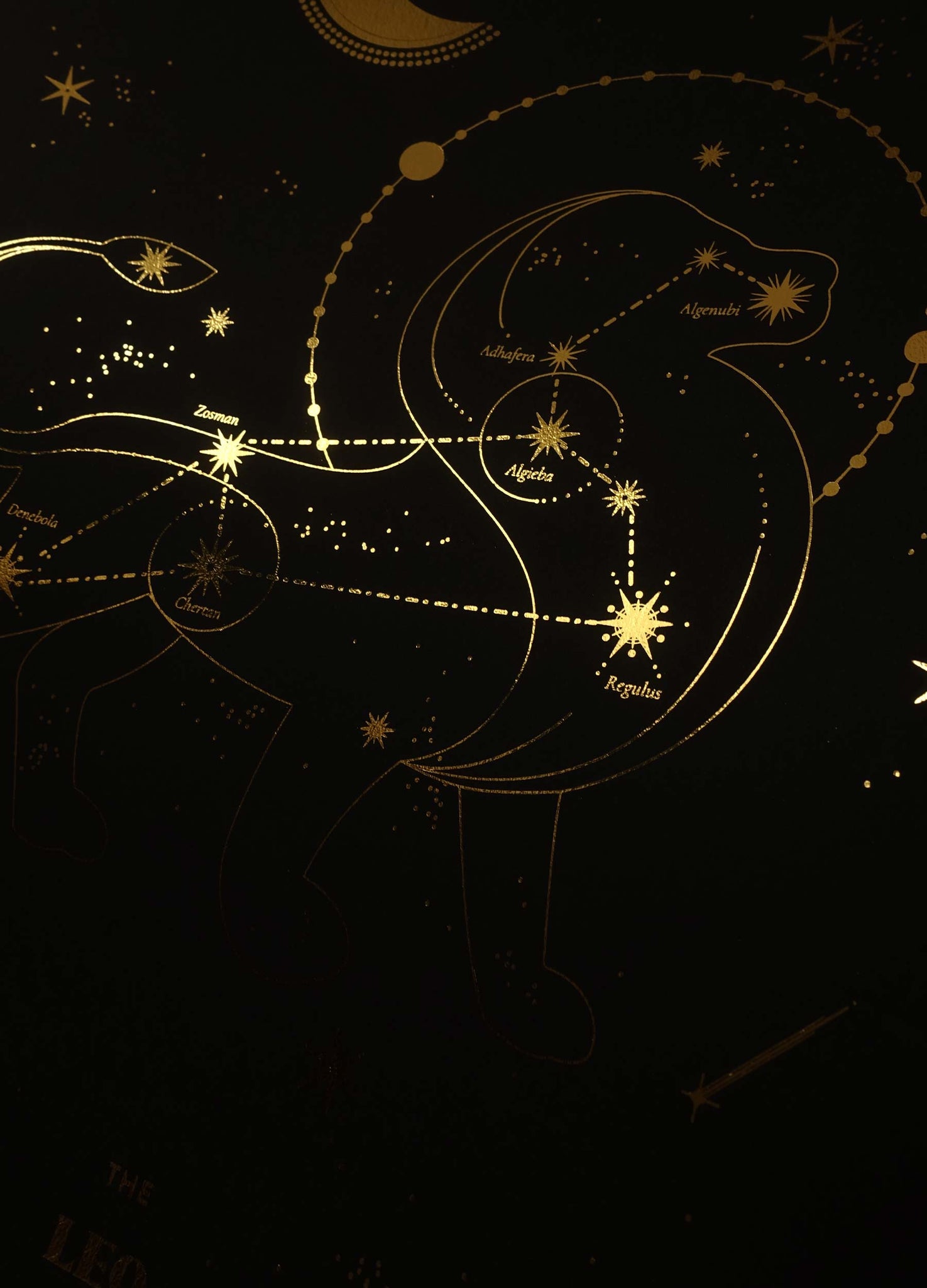 Leo Constellation gold foil art print on black paper by Cocorrina & Co Studio and Shop
