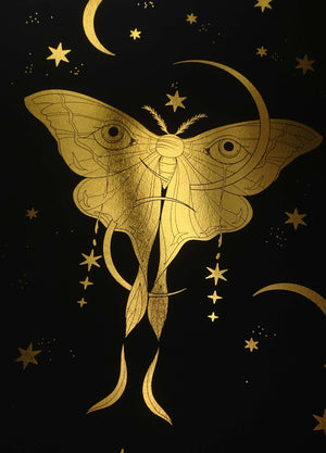 Moon Moth gold foil art print on black paper by Cocorrina & Co