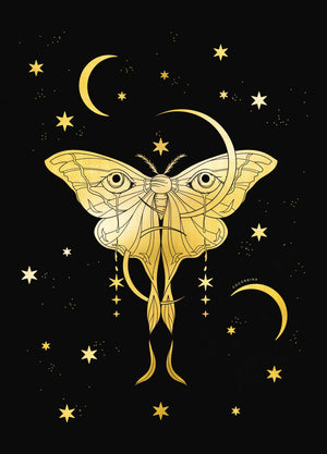 Moon Moth gold foil art print on black paper by Cocorrina & Co