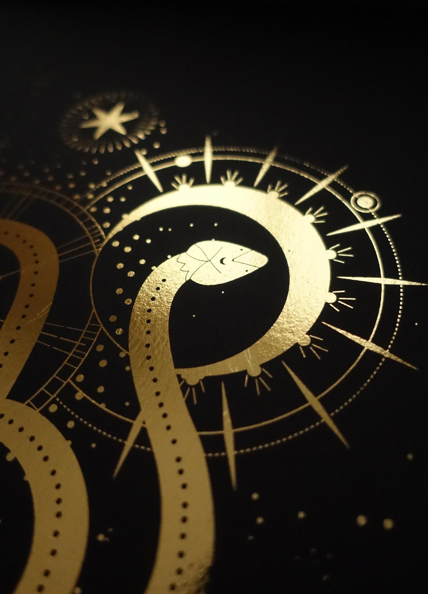 Sacred Snake art print in gold foil and black paper with stars and moon by Cocorrina