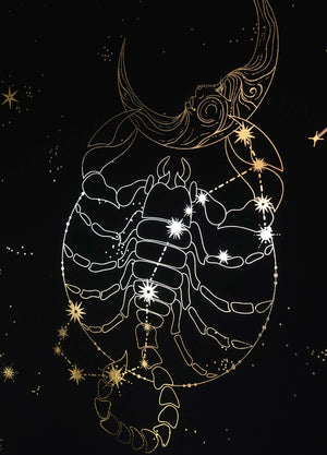 Scorpio Constellation Zodiac Sign gold foil on black paper by Cocorrina & Co