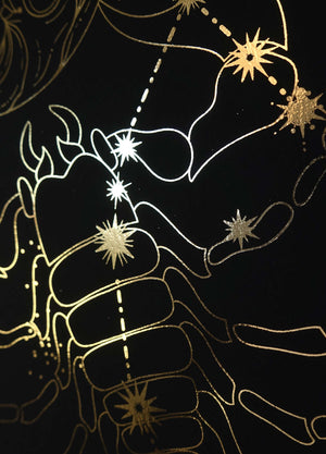 Scorpio Constellation Zodiac Sign gold foil on black paper by Cocorrina & Co