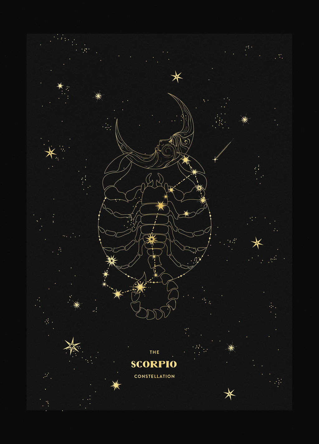 Scorpio Constellation Zodiac Sign gold foil on black paper by Cocorrina & Co