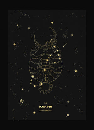 Scorpio Constellation Zodiac Sign gold foil on black paper by Cocorrina & Co